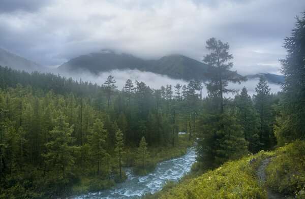 Paisaje natural amplio con camino y ambiente tranquilo